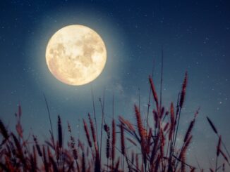 C'è acqua sulla Luna