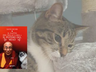 Cover del libro "Il gatto del Dalai Lama e il potere del miao"