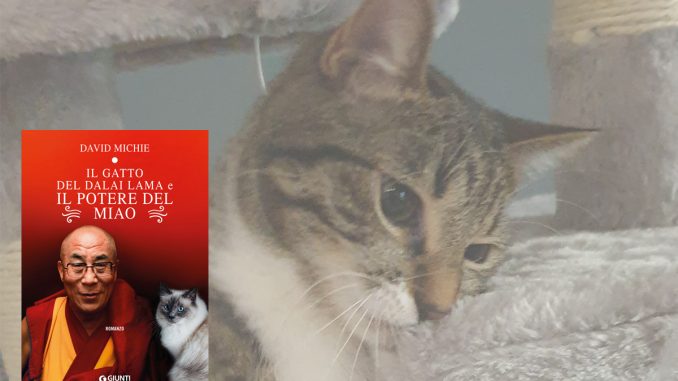 Il gatto del Dalai Lama e il potere del miao_David Michie_Giunti Cover del libro "Il gatto del Dalai Lama e il potere del miao"