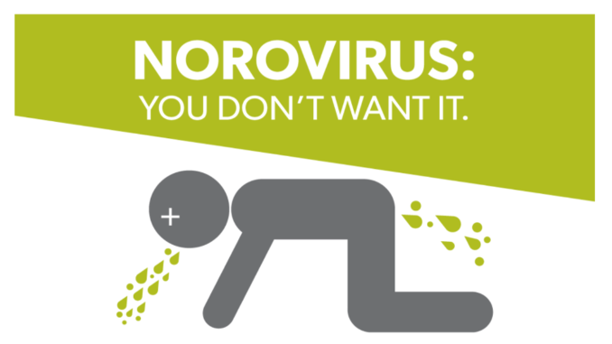 norovirus voce