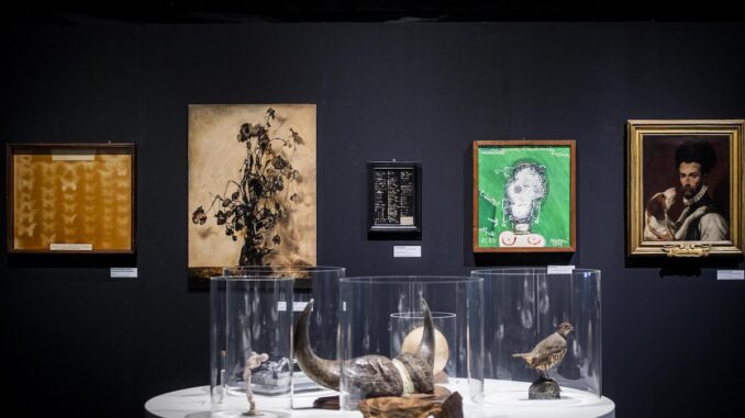 Mostra Ulisse Aldrovandi, Roma_VoceNews https://www.vocenews.it/wp-content/uploads/2024/06/Mostra-Ulisse-Aldrovandi-Roma_VoceNews.jpeg