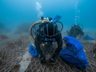 https://www.vocenews.it/wp-content/uploads/2024/06/RIFORESTAZIONE-POSIDONIA_VoceNews.jpg