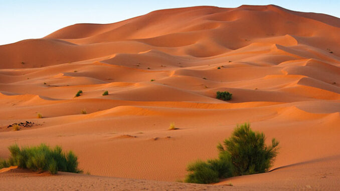 sahara-occidentale