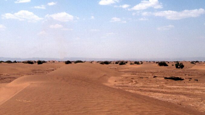 sahara