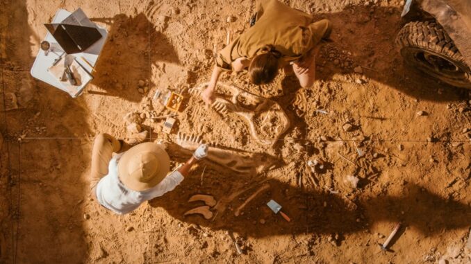 archeologia archeologia