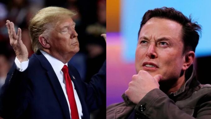 trump musk