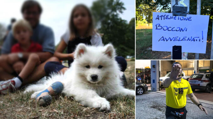 San Marino killer cani San Marino killer cani