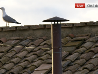 Conclave gabbiano
