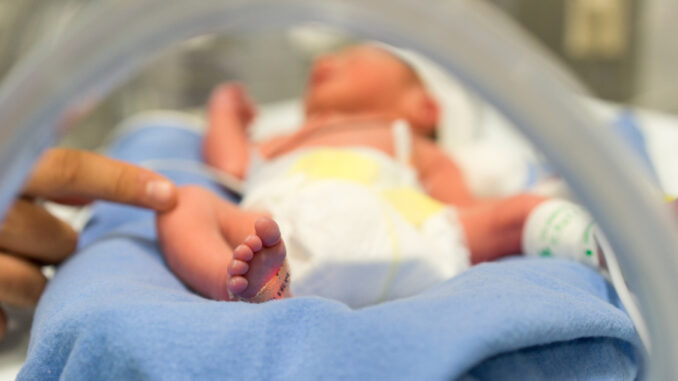 neonato neonato