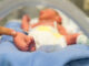 neonato
