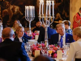 meloni trump