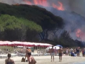 pineta Follonica