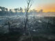 Incendi roma