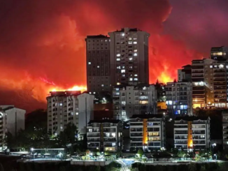 Turchia incendi