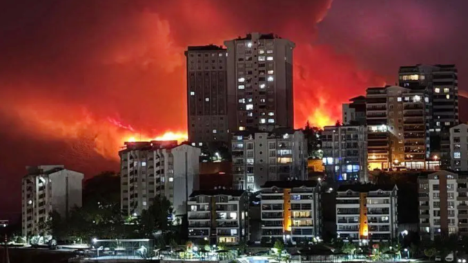 Turchia incendi
