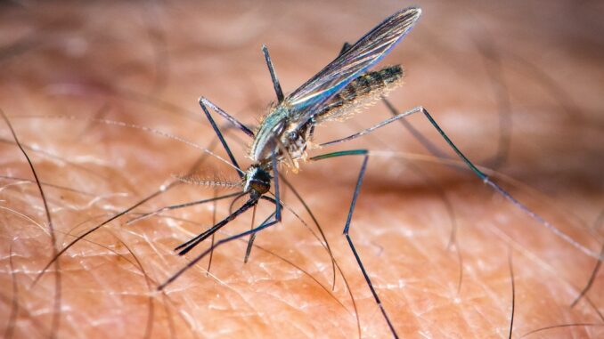 West Nile Virus