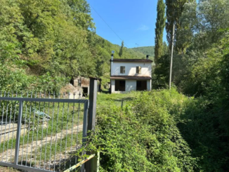 Enza Delli Gatti