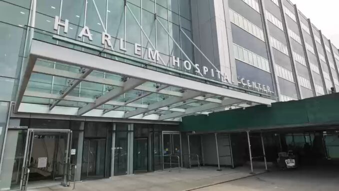 Legionella Harlem