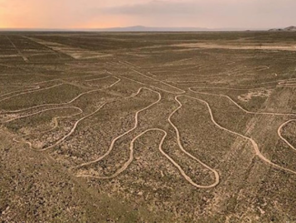 Linee di Nazca