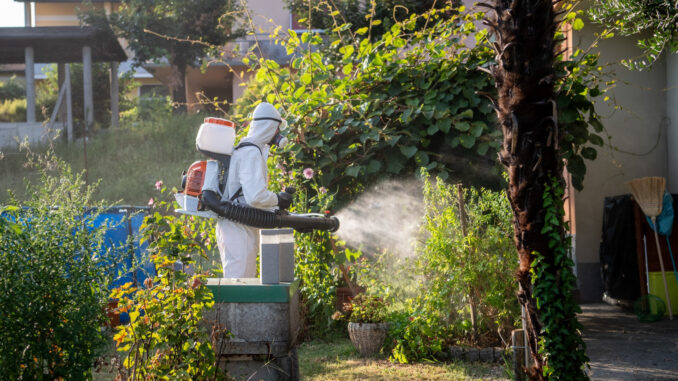 febbri tropicali febbri tropicali