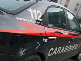 Catania lite domestica