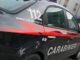 Catania lite domestica