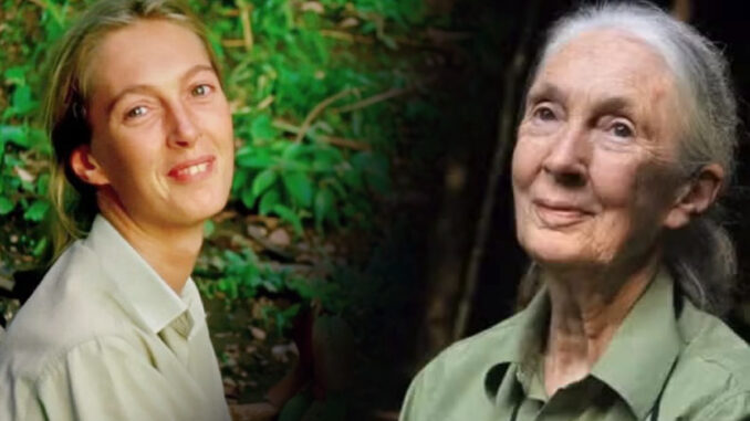 Jane Goodall