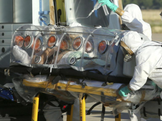 ebola italia