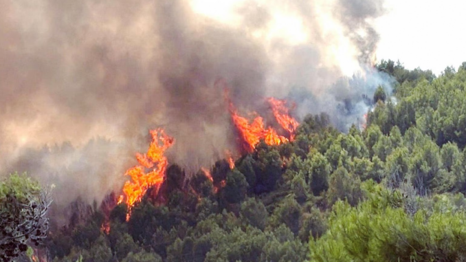 gargano incendio