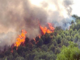 gargano incendio