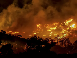 incendio creta grecia