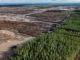 Google Finlandia disboscamento