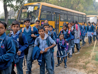 India scarafaggi gen z
