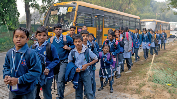 India scarafaggi gen z