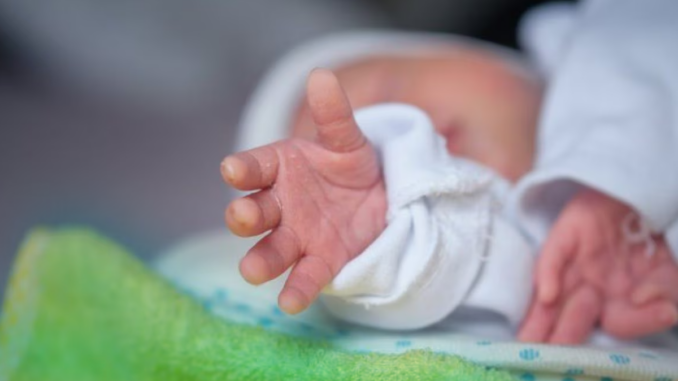 Padova sevizie neonato