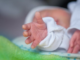 Padova sevizie neonato