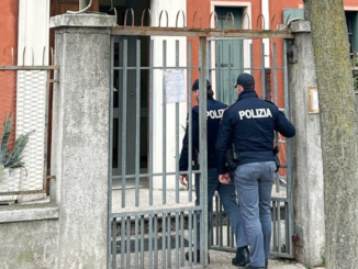 Rimini testa coniglio