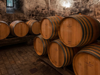 furto vino Antinori