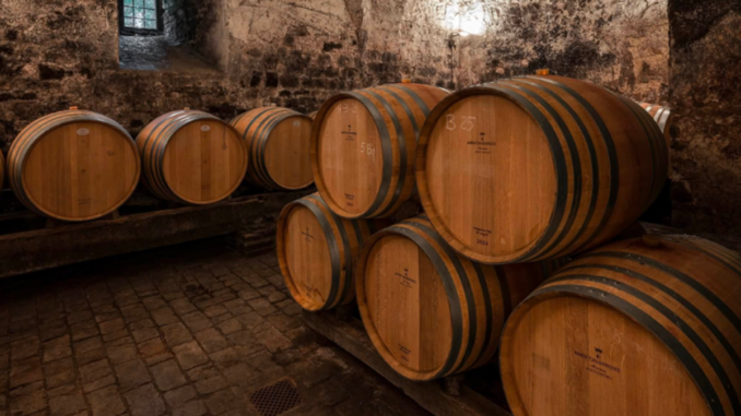 furto vino Antinori